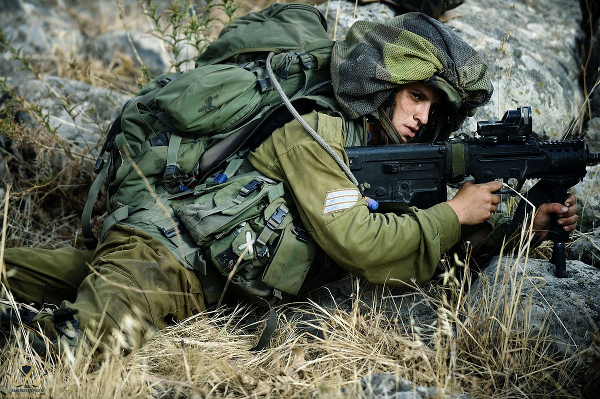 Nahal's Brigade.jpg