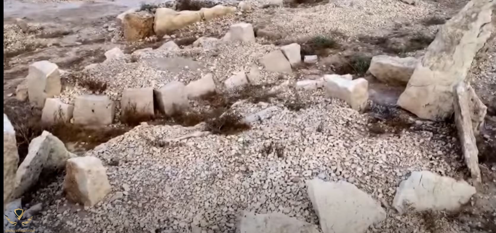 التقاط.JPG