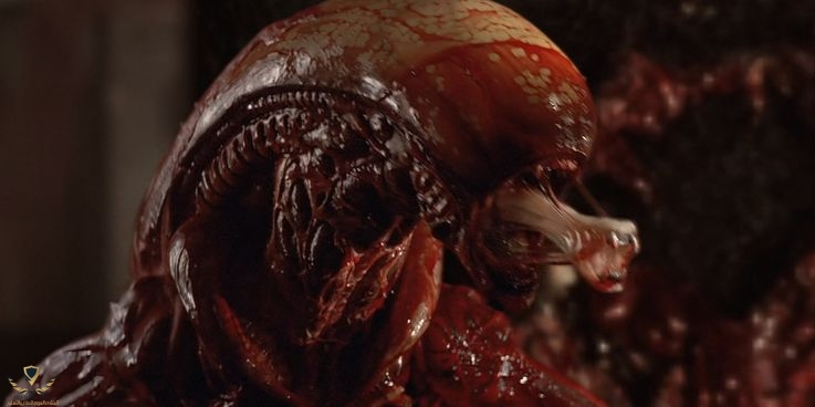 Alien-3-Assembly-Cut-Birth.jpg