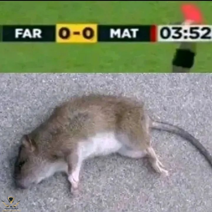 nkmk_shitposting_281552526_3267028110252545_6835703893979189338_n.jpg
