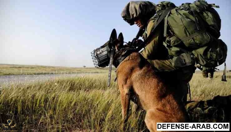 جندي-اسرائيلي-يمسك-كلب.jpeg