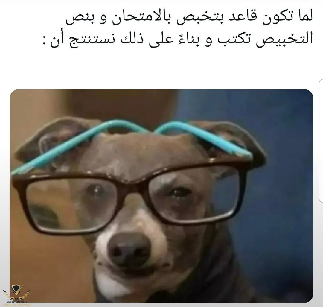 ٢٠٢٢٠٦٠١_٠٧٤٧٤٠.jpg