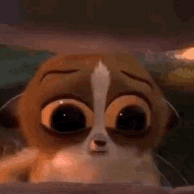 1654409389006.gif