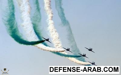 saudi_hawks.jpg