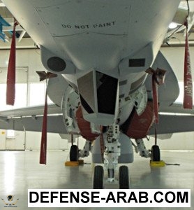 advanced_super_hornet_sensors-278x300.jpg