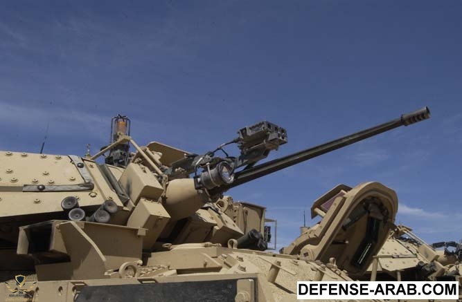 M2Bradley-M242[1].jpg