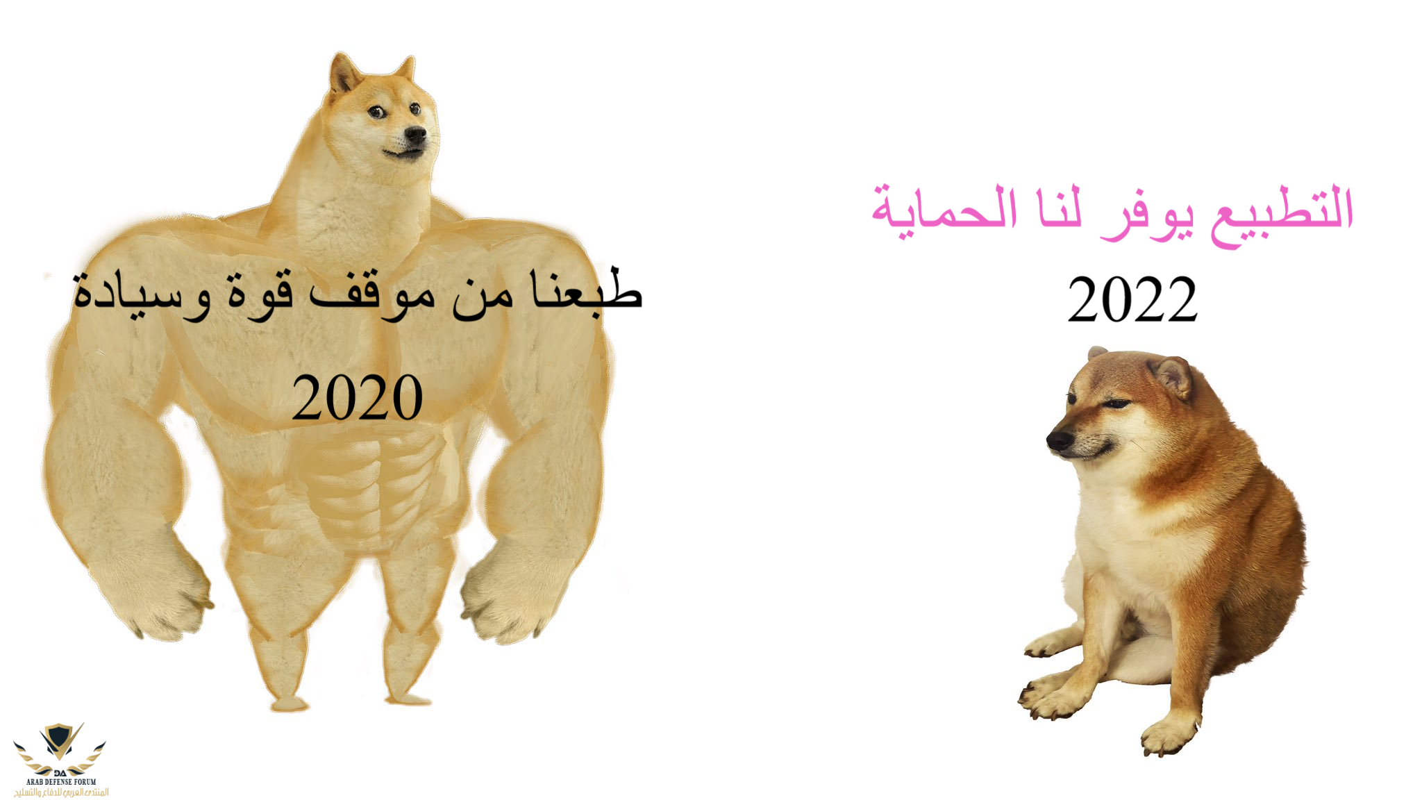image(1).png