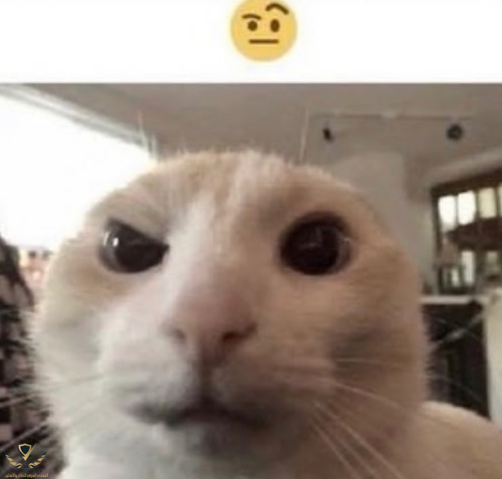 20220206_110113.png