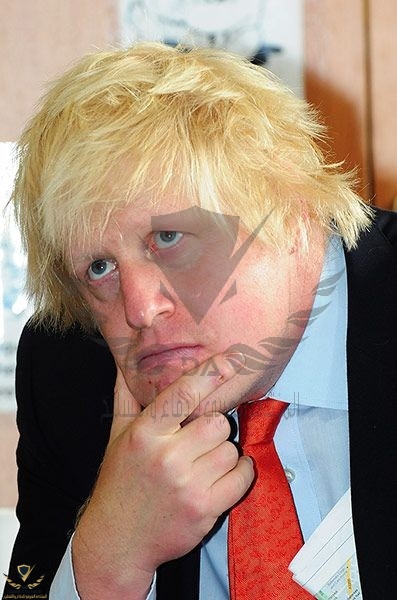 89605bbb562f15cd8b4dadb217a808ab--boris-johnson-hair-pictures.jpg