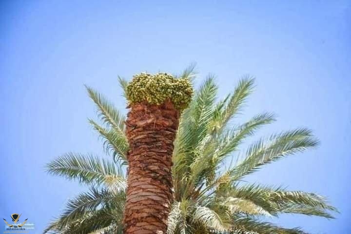 B8FE258A-5DE6-4EC0-8106-7976E218627C.jpeg