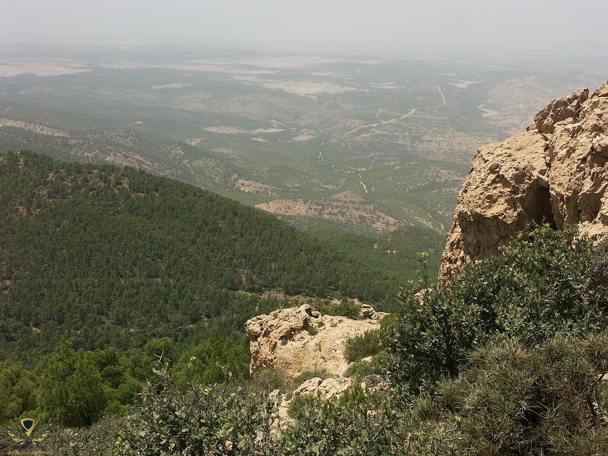 Algérie_vue_Djebel_Chambi.jpg