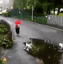 car-splash-car.gif