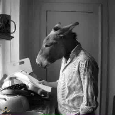 489dfc45b7cfd0d82c6240bdcb929967--animal-heads-funny-animals.jpg