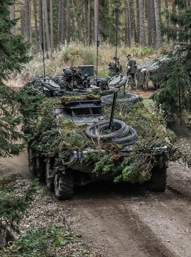 GTK Boxer APC - Royal Netherlands Army.jpeg