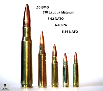 bullet338_1.jpg