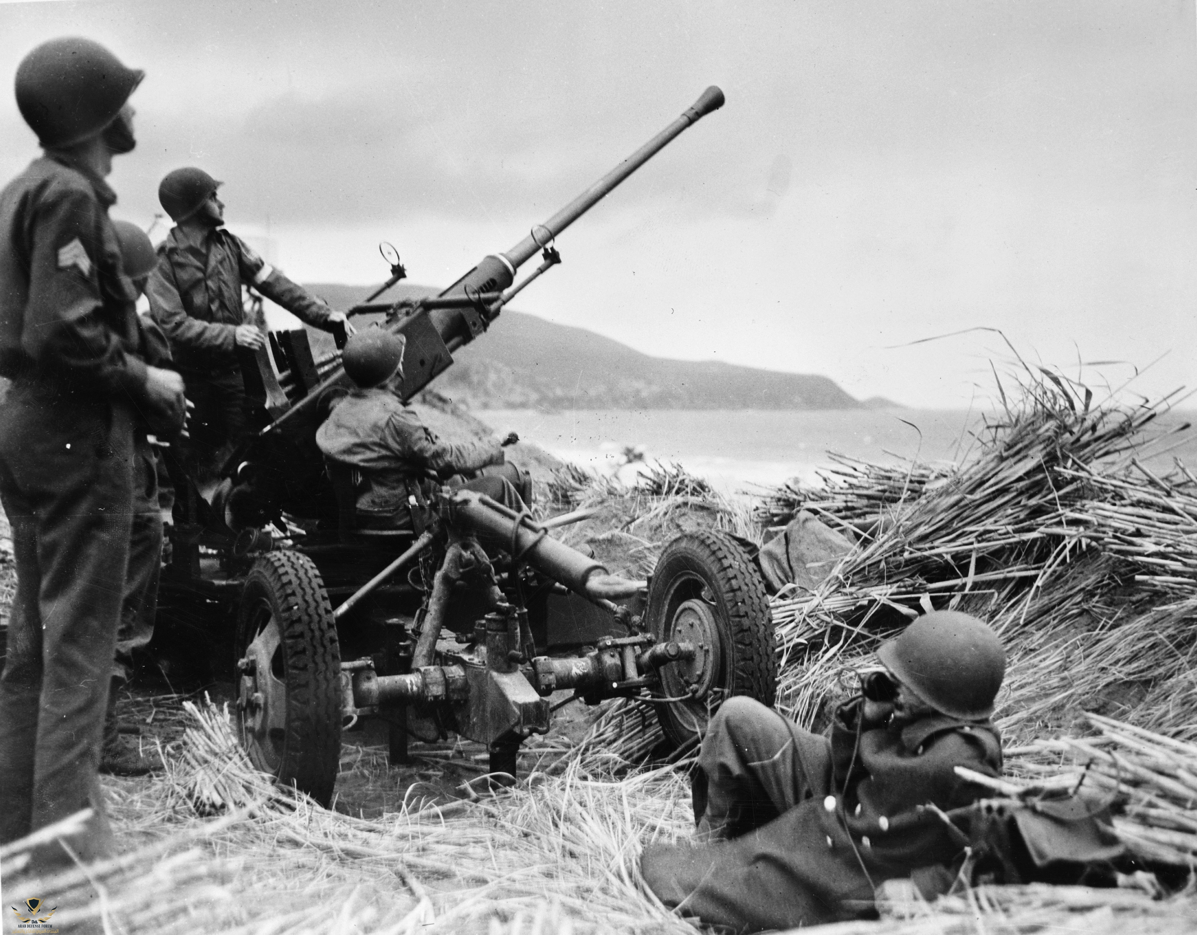 Bofors-aa-gun-algeria.jpg