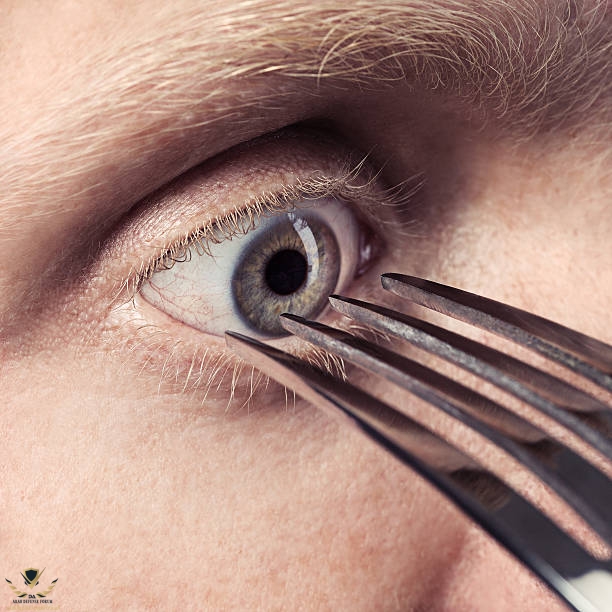 istockphoto-515553139-612x612.jpg