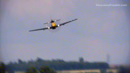 7vLe (1).gif