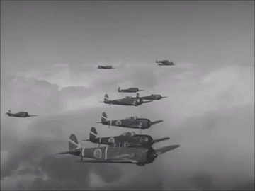 1663364944867.gif