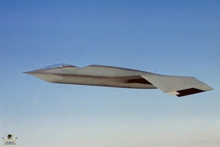 bird_of_prey_11-768x512.jpeg