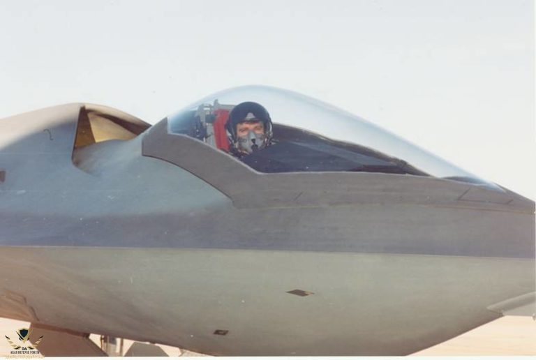 bird_of_prey_13-768x516.jpeg