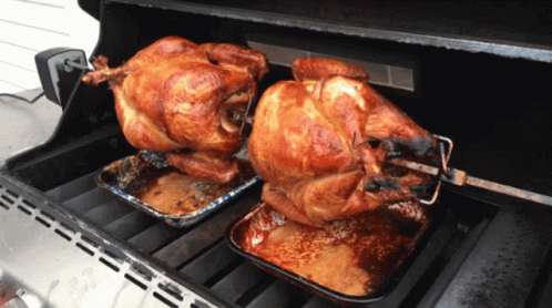 roast-turkey-turkey.gif