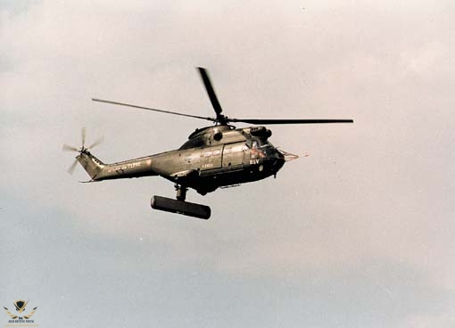 horizon-cougar1.jpg