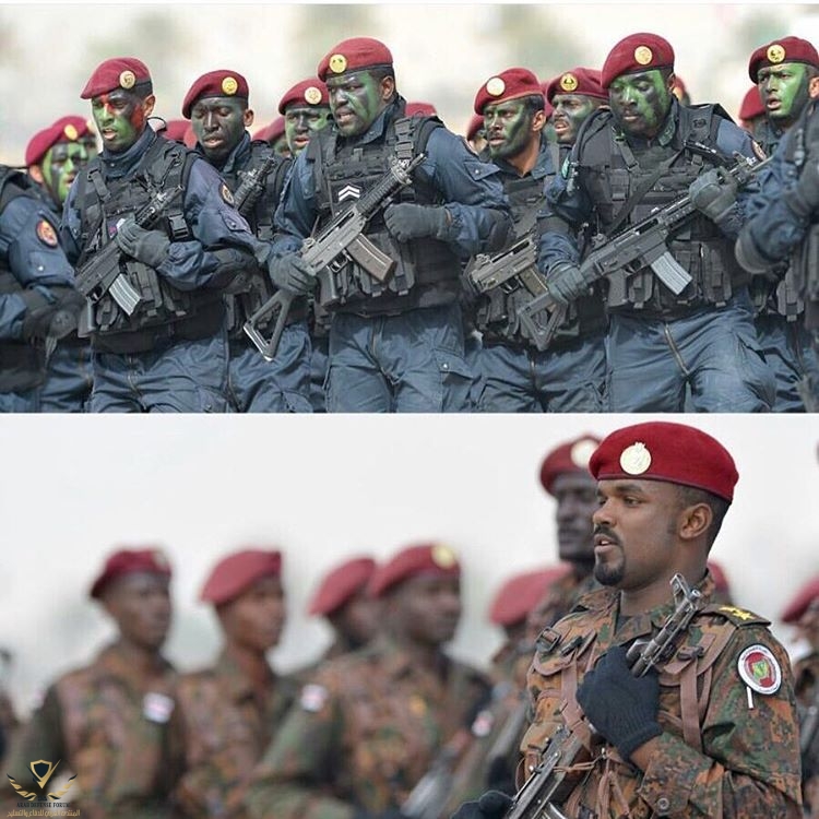 saudi_armed_forces-8.jpg