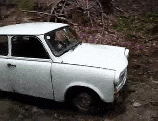 ColorfulDownrightElectriceel-size_restricted.gif