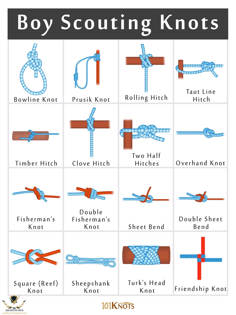 Boy-Scouting-Knots.jpg