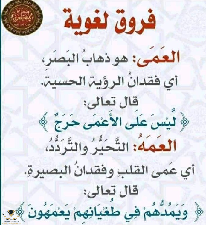 1667021998679.png