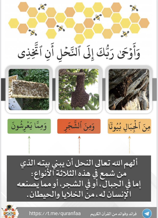 1667905832946.png