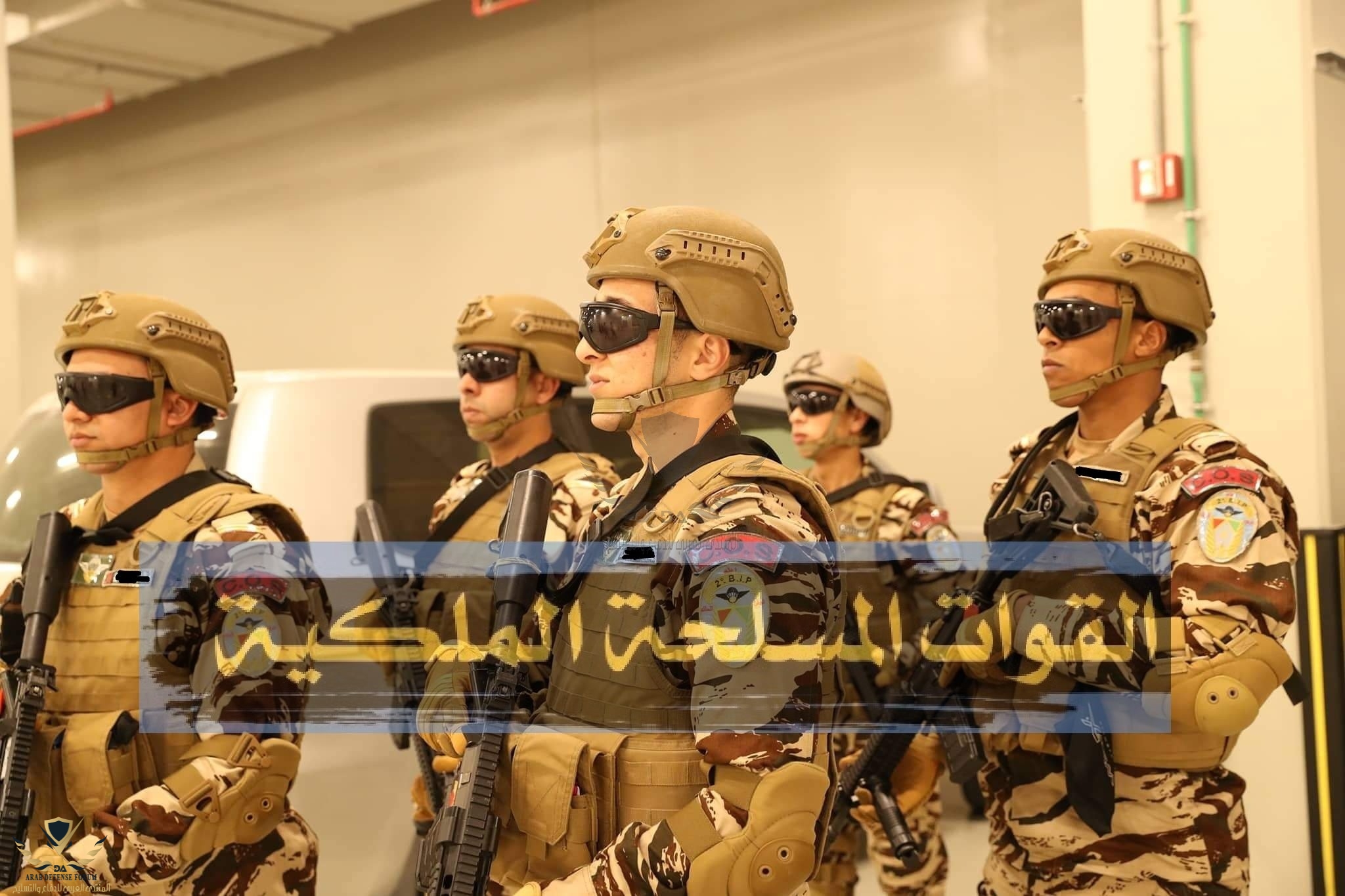 COS . Special Operations Squad.jpg