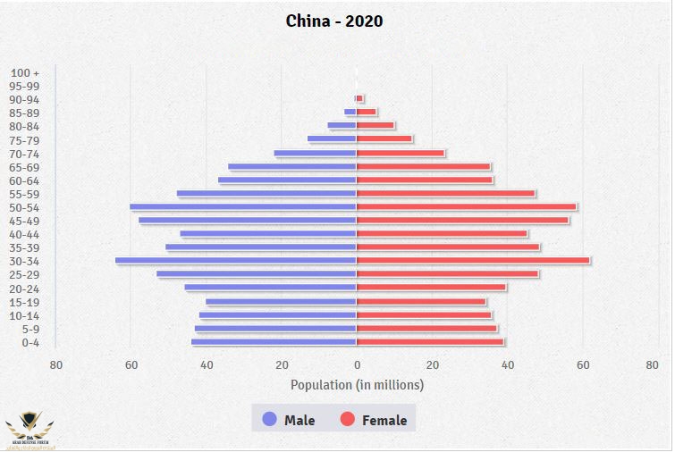 china-population-pyramid-2020.jpg