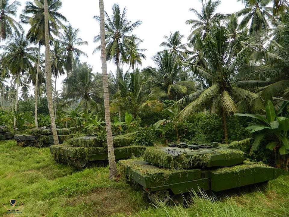 Tropical cats - Indonesian army Leopard 2RI [960x720].jpeg