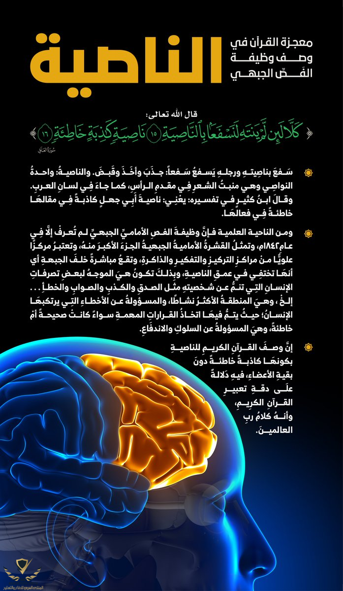 1668499358198.png