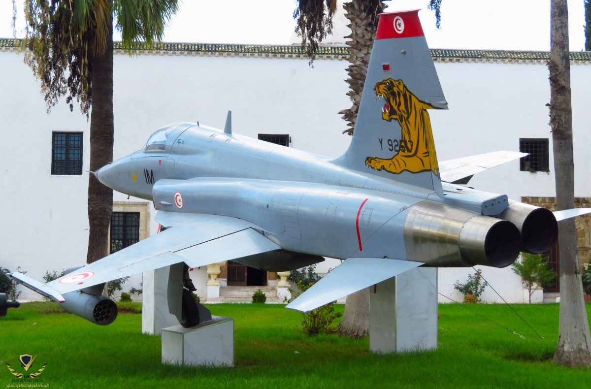 M_1591_2.JPG