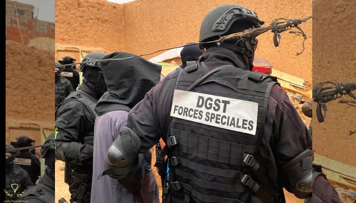 dgst-force-speciale.jpg