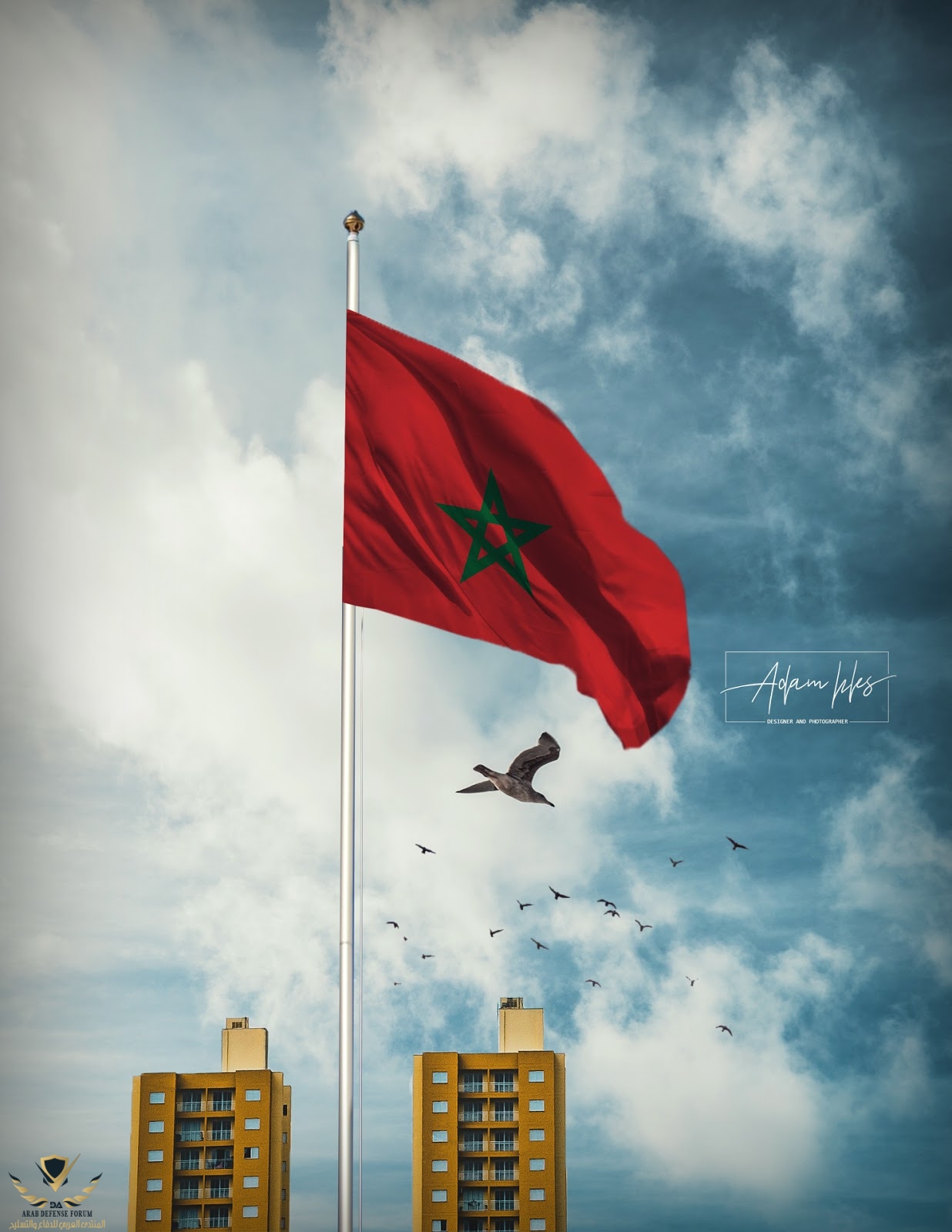 علم المغرب.jpg