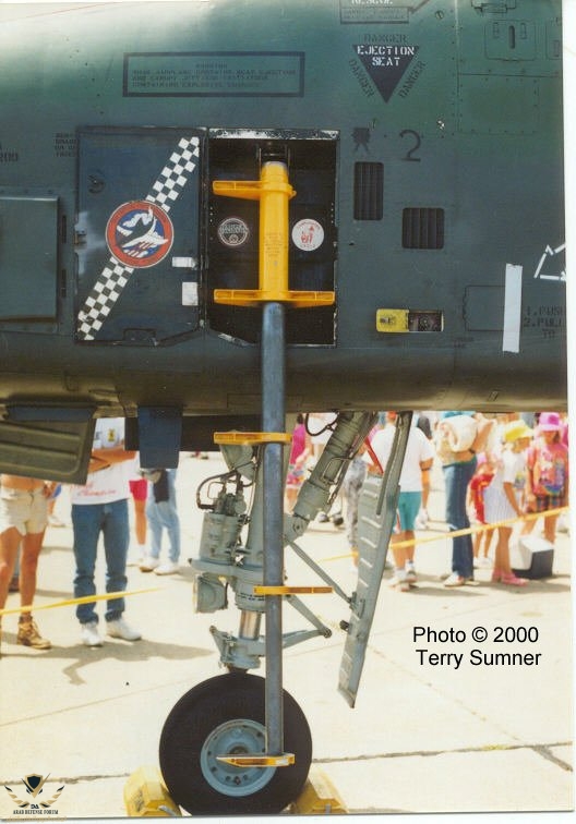 Ladder-1.jpg