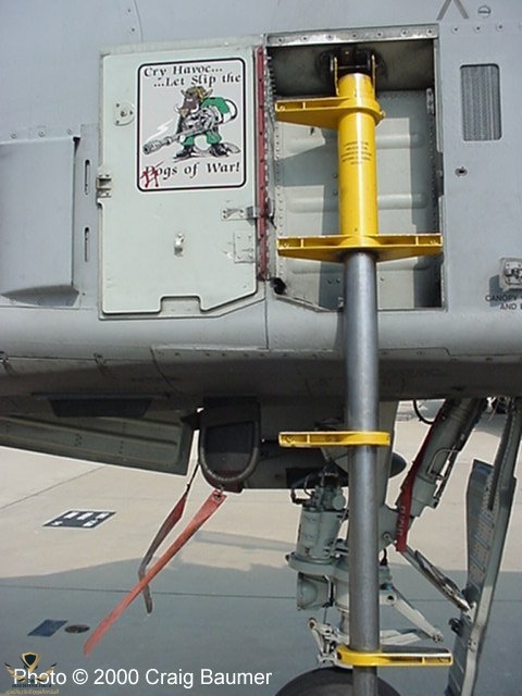 ladder.jpg