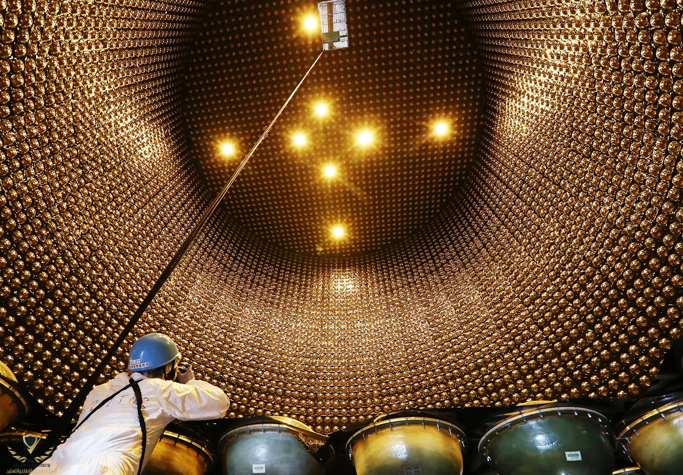 d41586-019-00598-9_16490422.jpg