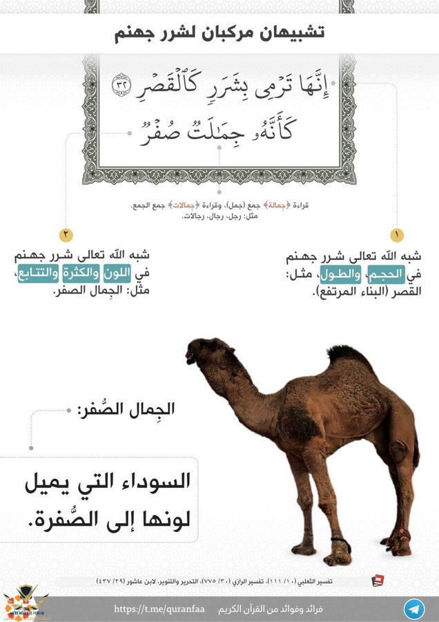 1671535017335.png