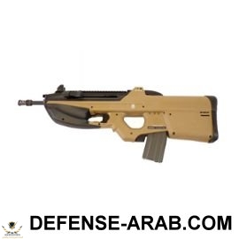 FN Herstal F2000 - Tan G&G.jpg