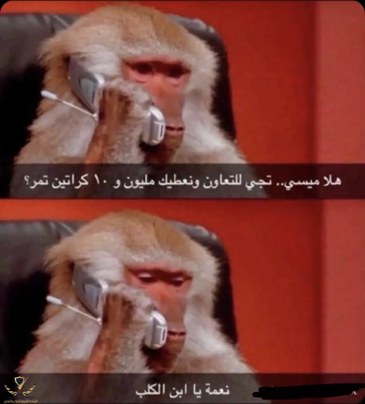 15E0090A-2F61-48E1-8FFB-2039B0716199.jpeg