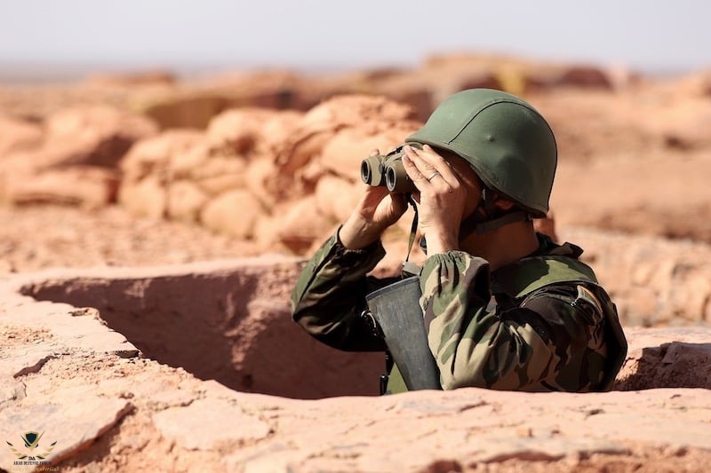 armee-mur-des-sables4.jpg