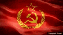 فاشیسمسرخ-soviet-union.gif