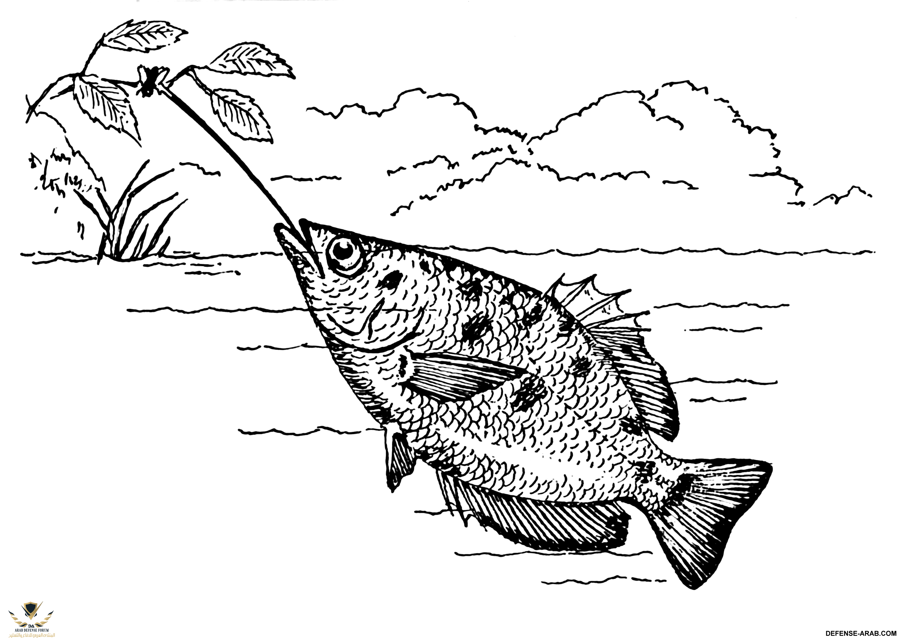 Archerfish_(PSF).png