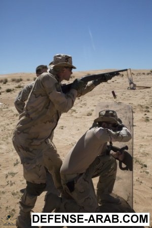 300x450_q95 (2).jpg