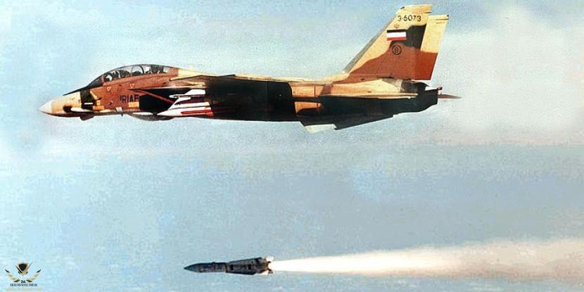 F-14A-Phoenix (1).jpg